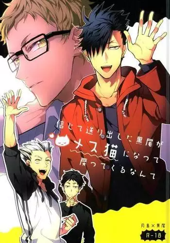 Haikyuu!! - Shinjite Okuridashita Kuroo Ga Mesunekoninatte Odotte Kurunante