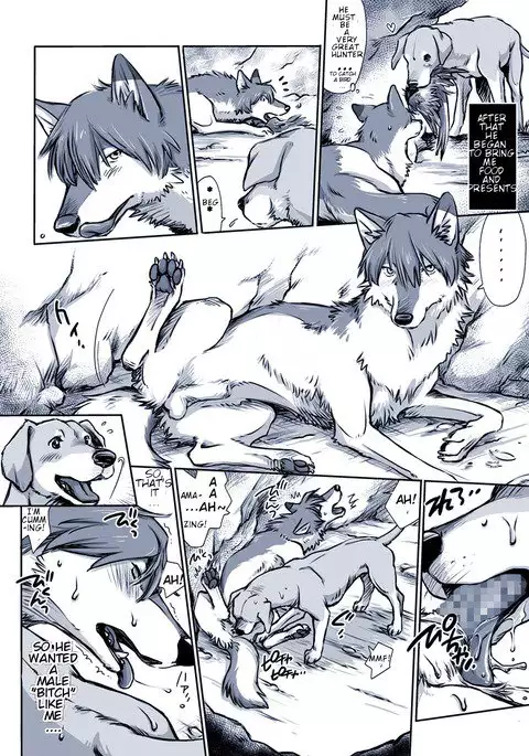 A certain dog's situation