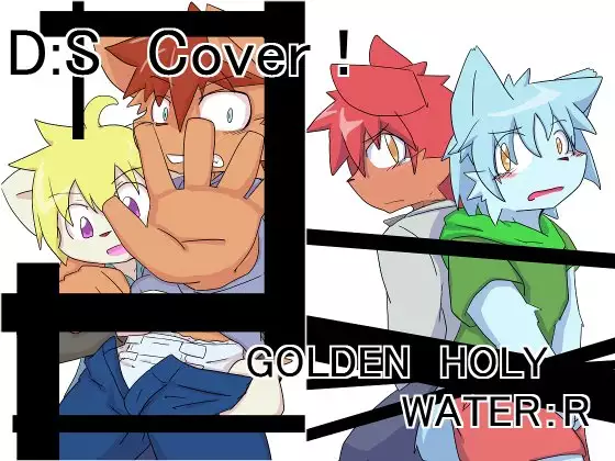 DS Cover!