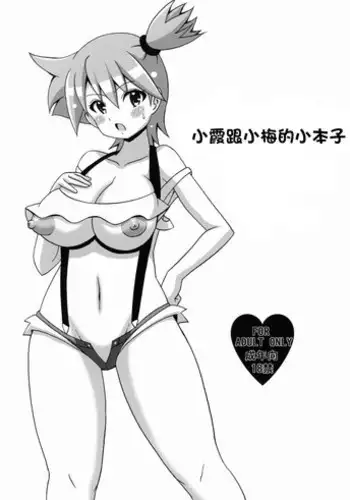 (C82) [Haguruman (Koutarosu)] Kasumi to Mei no Hon (Pokemon) [Chinese]