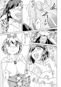 (C78) [Sekitan Bukuro (Fey Tas)] Saint Tiger (Touhou Project)