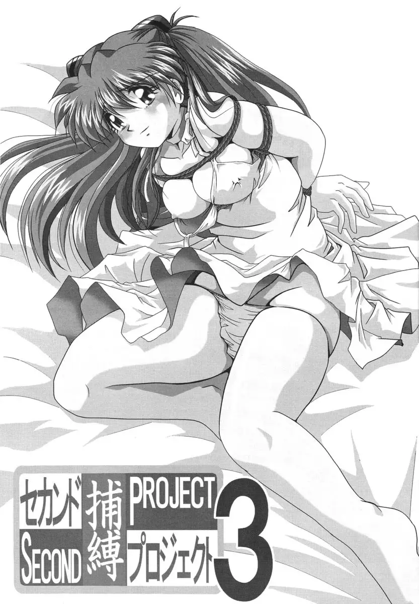 Second Hobaku Project 03