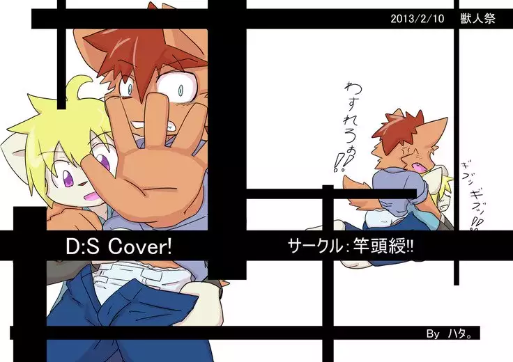 DS Cover!