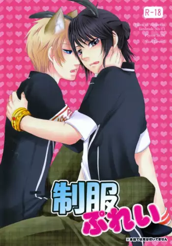 Uniform Purei (Tales of Vesperia)