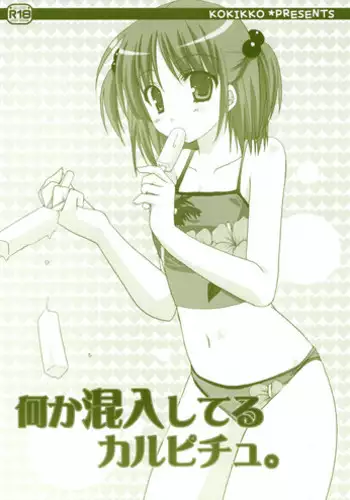 (C72) [Kokikko (Sesena Yau)] Nanika Konnyuu Shiteru Karupichu. (Hayate no Gotoku! [Hayate the Combat Butler!])