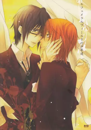 (C84) [Kokuyouchou (Kagari Touya)] Ephemeral Field no Shounen-tachi (K)