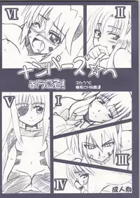 (SC37) [Take Out (Zeros)] Numbers e Youkoso (Mahou Shoujo Lyrical Nanoha)