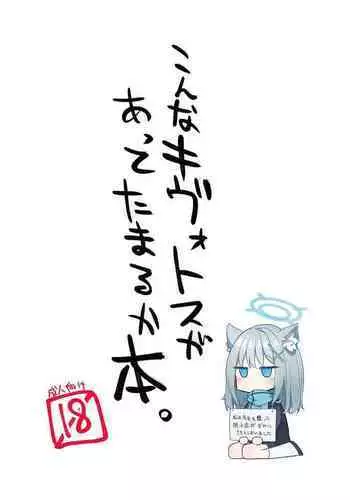 Konna Kivotos ga Atte Tamaruka Hon.