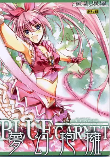 (C80) [BLUE GARNET (Seizawa Katsumi)] Mugen Houyou (Suite Precure)