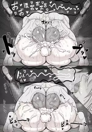 Rabbit Impregnation