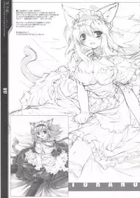 [Douganebuibui] Gliding through the Night at Koinosaka ( Touhou Project )