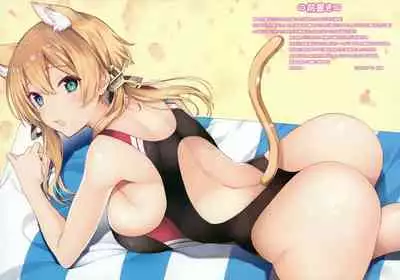N,s A COLORS #12