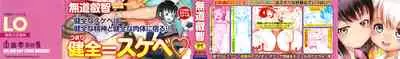 Soutaisei Virgin Theory