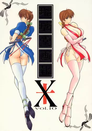 [U-A Daisakusen / Lapislazuli=corporation] Ruridou Gahou X (vol.10) (Dead or Alive)