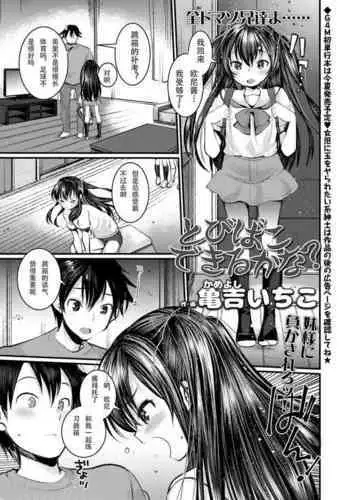 [Kameyoshi Ichiko] Tobibako Dekiru kana? (Girls forM Vol. 19) [Chinese] [手办狂魔秦始皇个人汉化] [Digital]