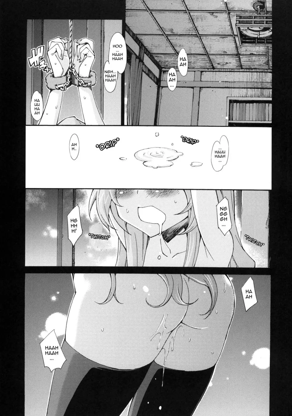 Taiga no Jouzu na Shitsukekata