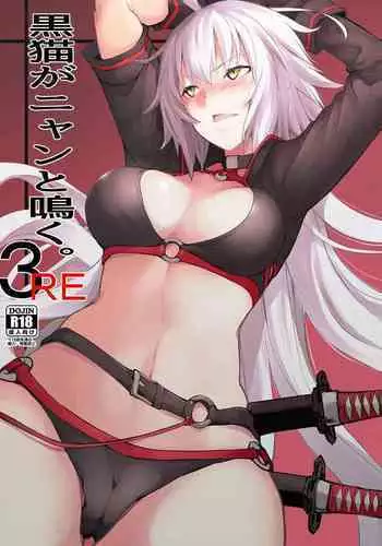 [IRON GRIMOIRE (SAKULA)] Kuroneko ga Nyan to Naku. 3RE (Fate/Grand Order) [Chinese] [自宅用汉化] [Digital]