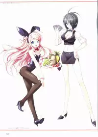 Sakura Sakura Visual Fan Book