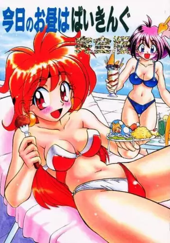 (C53) [Himawari Endan (Chunrouzan, Gakimagari, Kuribara Tento, Makichi)] Kyou no Ohiru wa Viking Kanzenban (Slayers)