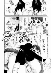 [Sasamine Hidetoshi] Crumble