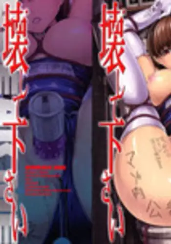 [Hakaba] Kowashite Kudasai