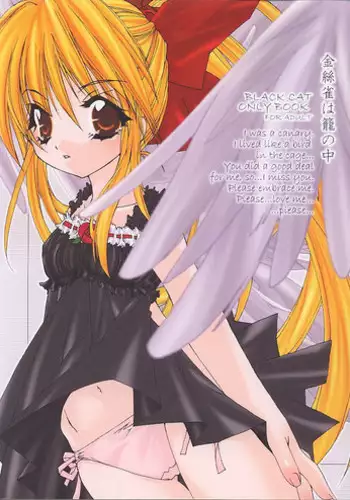 [Vollmond] Kanariyaha Kagononaka ( Black Cat )