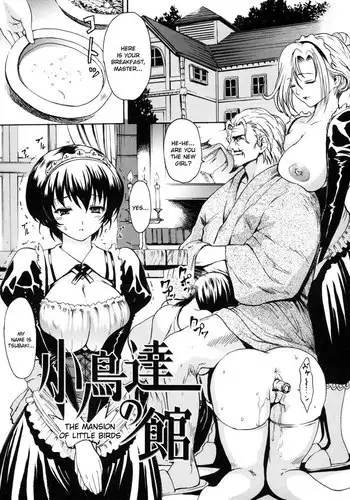 Melty Body 8 - The Mansion Of Little Birds