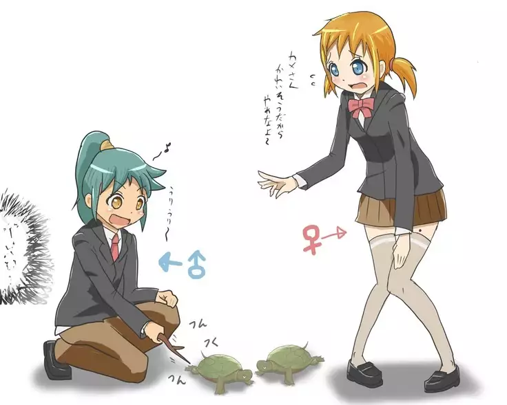 呪いの亀