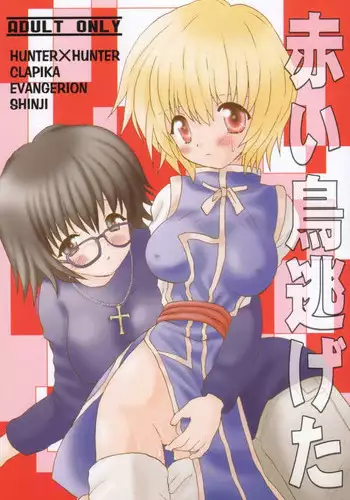 (C58) [KuruGuru DNA, Haniwa Mania (Hoshiai Hilo, Pon Takahanada)] Akai Tori Nigeta (Hunter x Hunter, Neon Genesis Evangelion)