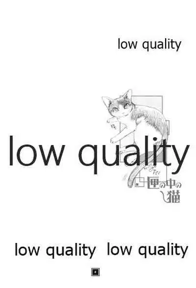 匣の中の猫