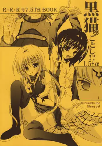 (C71) [RED RIBBON REVENGER (Makoushi)] Kuroneko no Gotoshi!? 1.5＋α (Black Cat)