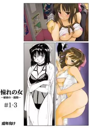 Akogare no Hito -Himitsu no Isshuukan- #1-3