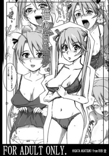 [RIBI Dou (Higata Akatsuki)] Neko no Hakuchuumu. (Mahou Sensei Negima!)